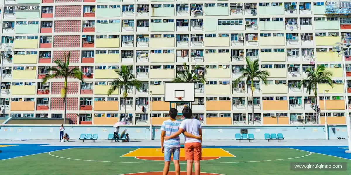 一键开启，赛事瞬间同步！🎯